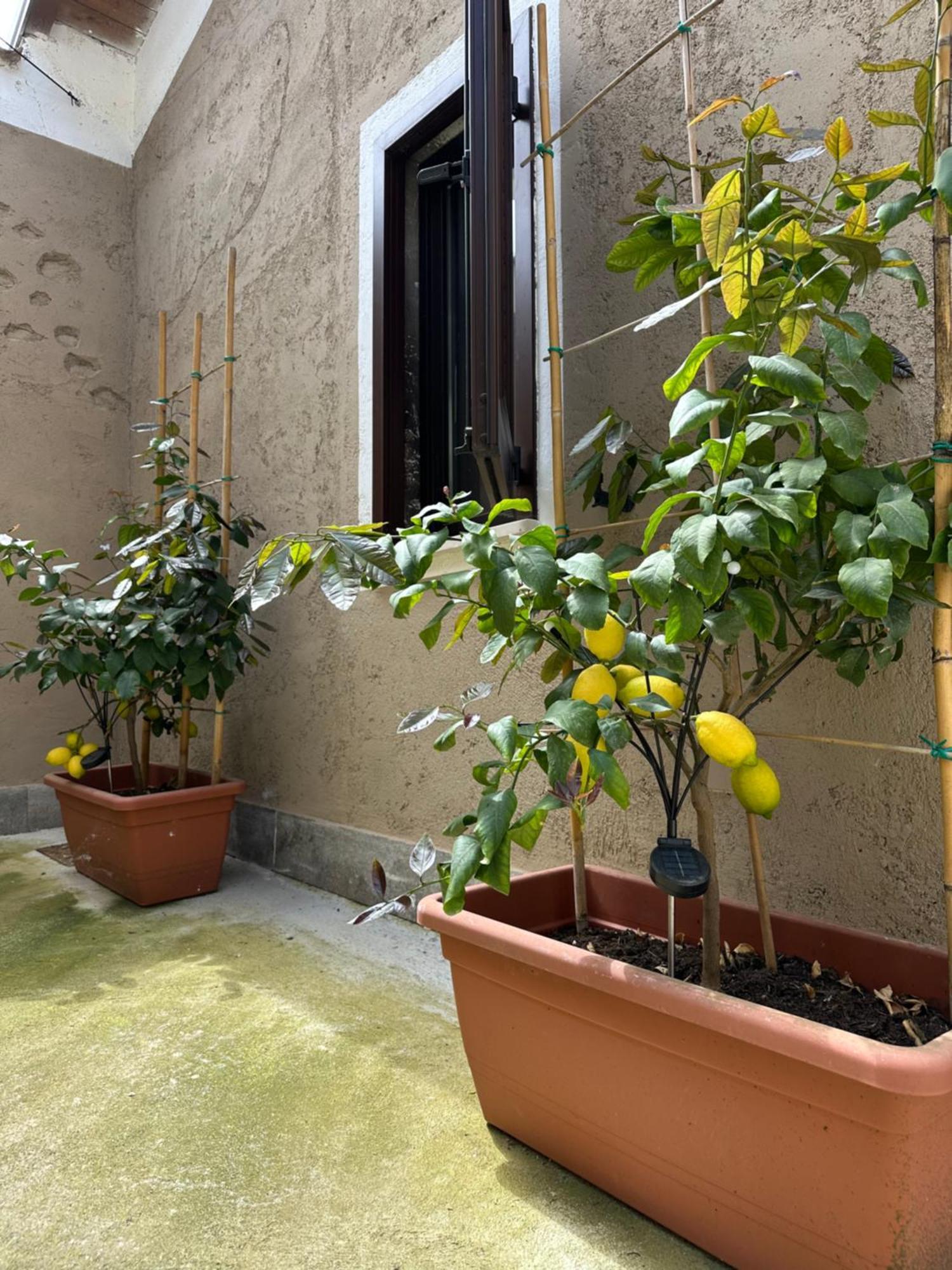 B&B La Corte Puegnago Zewnętrze zdjęcie